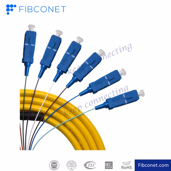 Одномодовый FTTH 4 6 8 12 24 48 96 Распределение ядер Sc/APC Разветвительный комплект Волоконно-оптический пигтейл